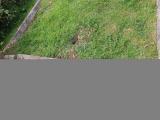 image of grave number 924265